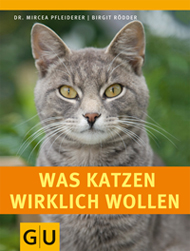 buchempfehlung